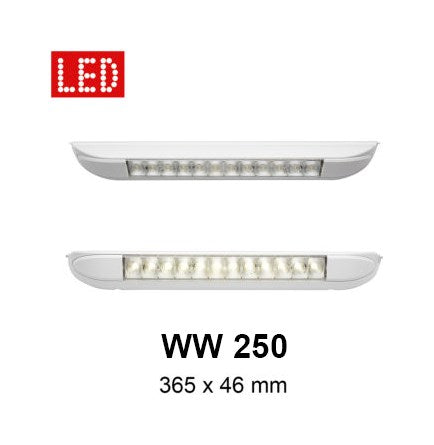 Tente/Ortam Işığı - WW 250